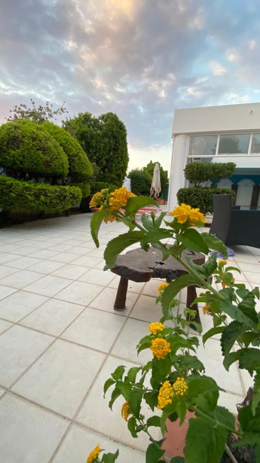 Hotel Kalloni Волос Экстерьер фото